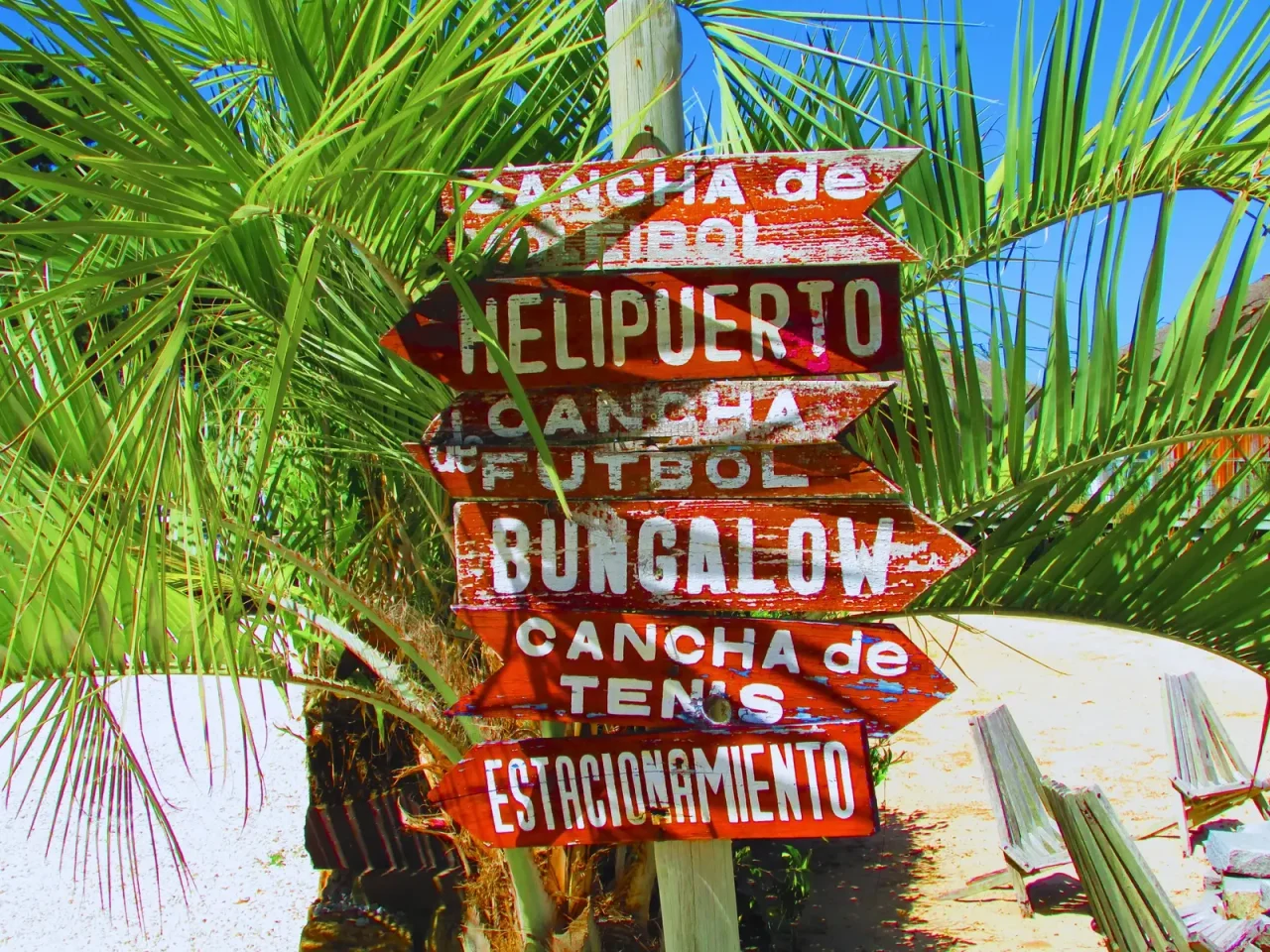 Pura Vida — 14