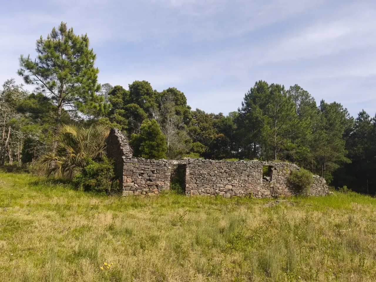 St. Michels — 13