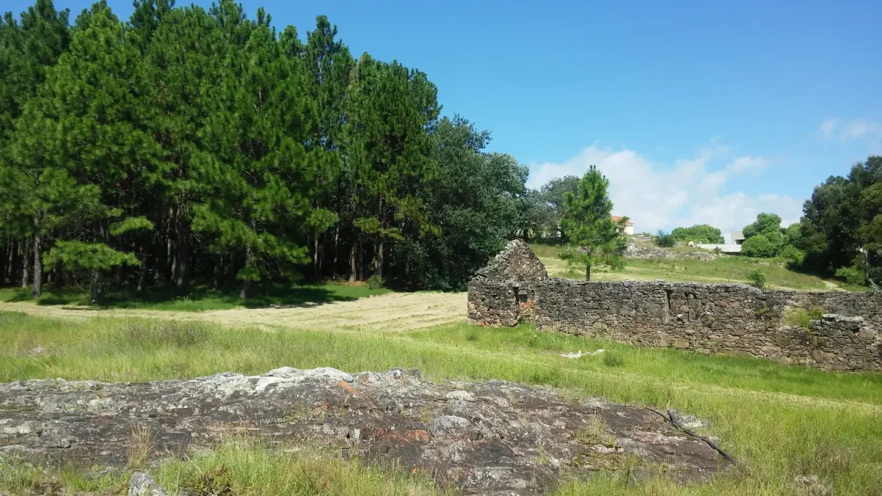 St. Michels — 15